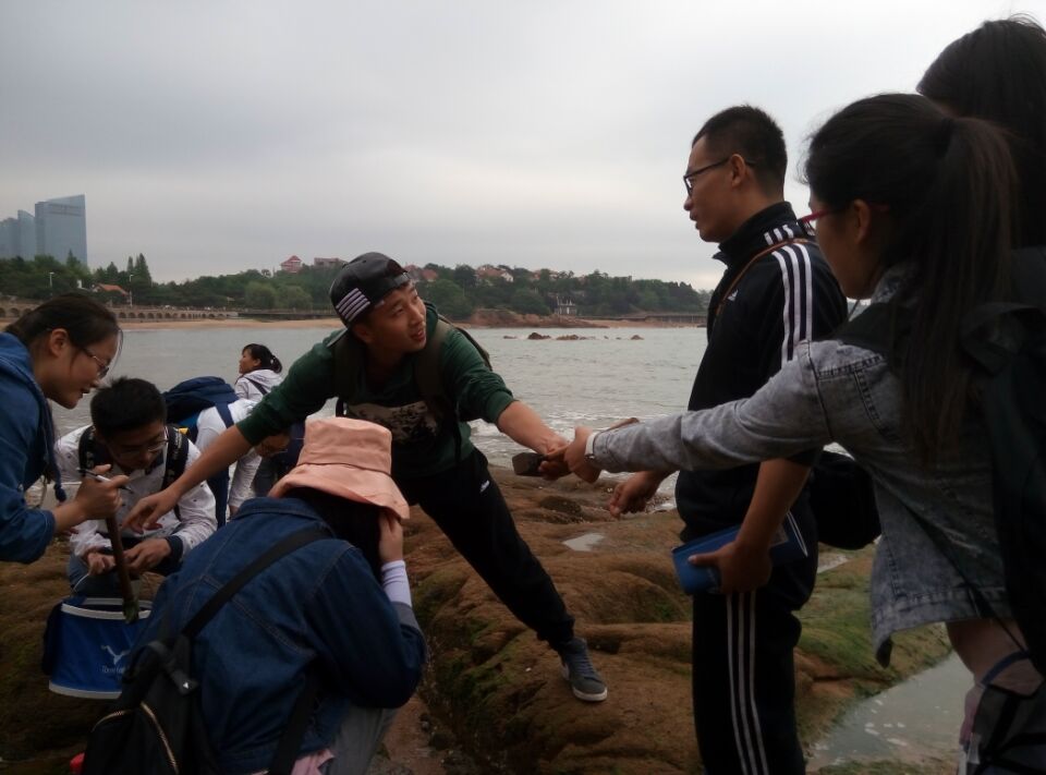 青島八大關太平角海洋生物物實習 (1)