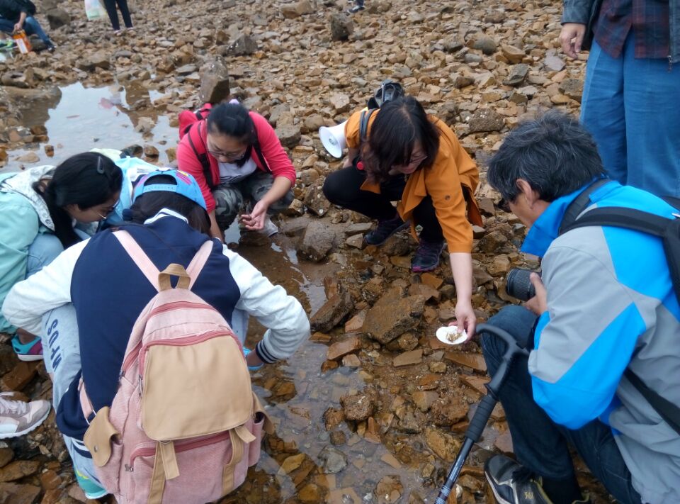 青島八大關太平角實習